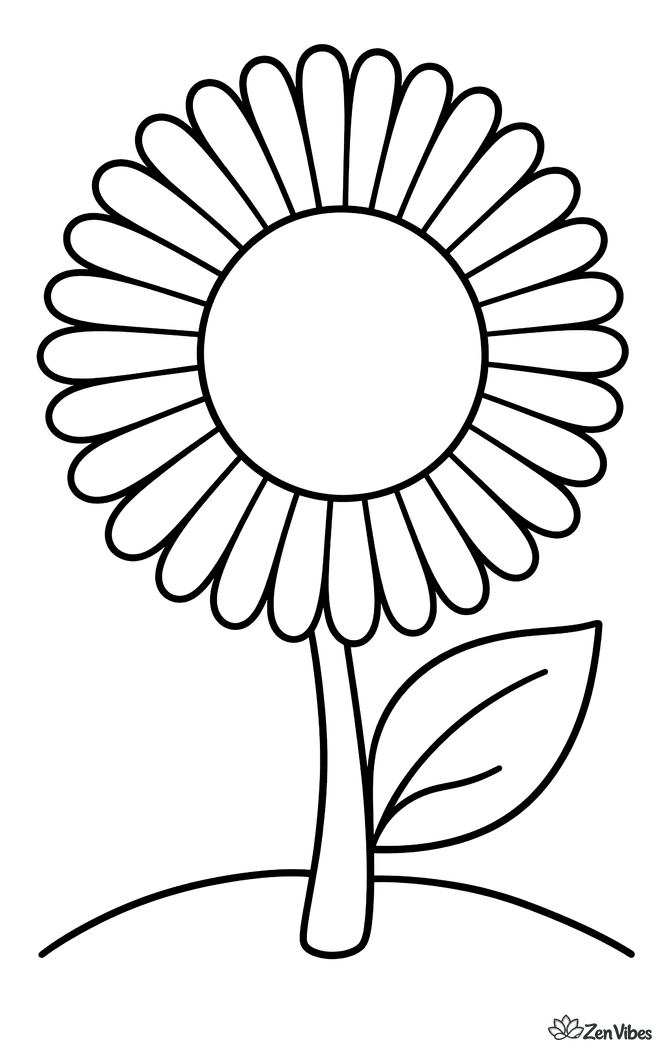 A flower with a ring of many thin petals around a large round center, on a stem with one leaf