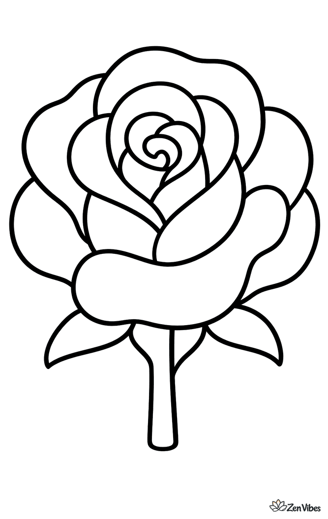 One large rose bloom with wide simple petals on a short straight stem